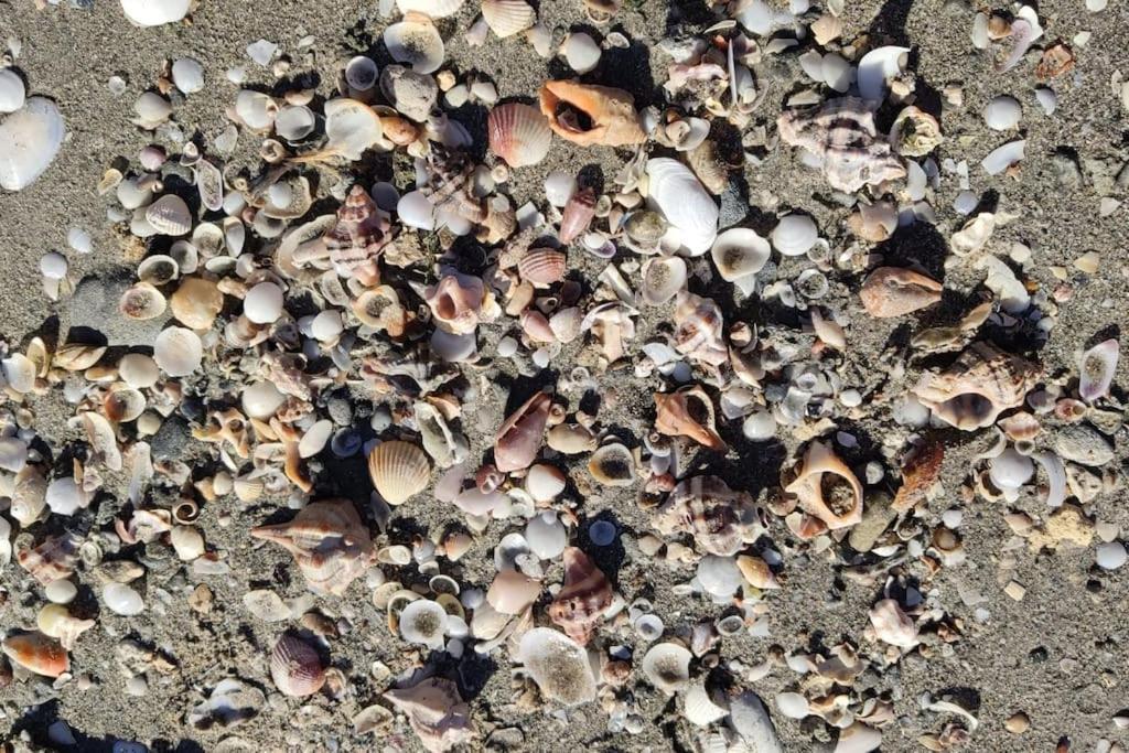Santa Pola Con Tres Dormitorios Playa Levante Eksteriør bilde